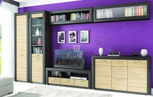 Гостиная DENVER (ANREX)