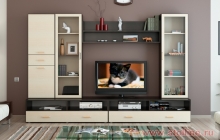 Гостиная "Пассаж", мебель на мебельмакс, мебель в рассрочку, под заказ, купить, гостиные