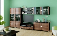 Оливия - композиция 12