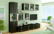 Оливия - композиция 16