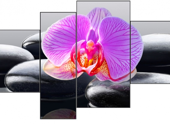 Модульная репродукция