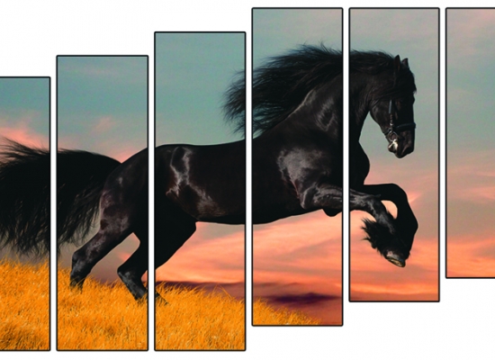 Модульная репродукция