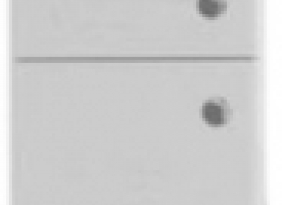 13.33 (3) Шкаф 21 Эко+