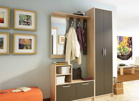 Стильная прихожая «Лофт» (Венге)