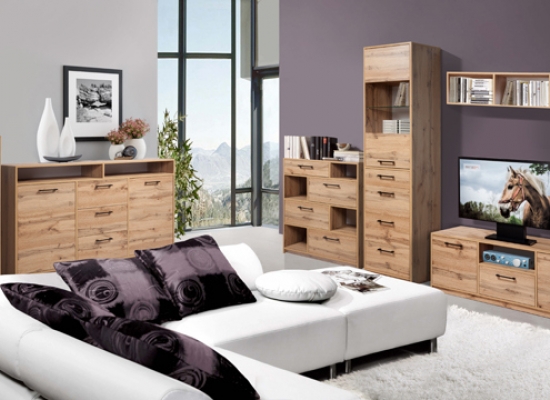 Гостиная Техас