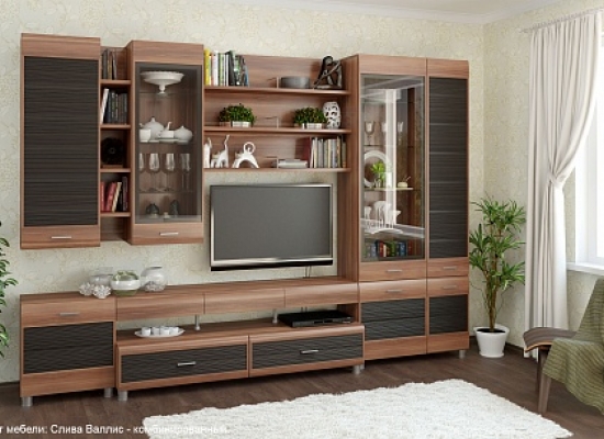 Камелия - композиция 16