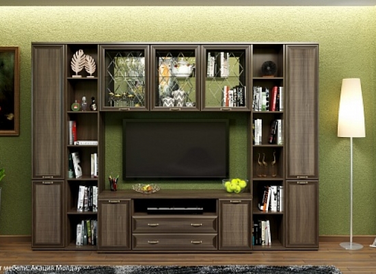 Карина - композиция 25