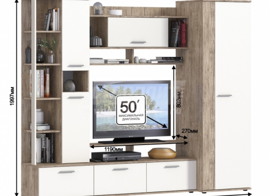 Флора СБ-2876 Стенка