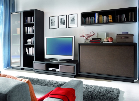 Гостиная "Areka", гостиная "Арека", достойная мебель, под заказ, купить в рассрочку, дешево, недорого, купить качественную мебель, купить красивую мебель,