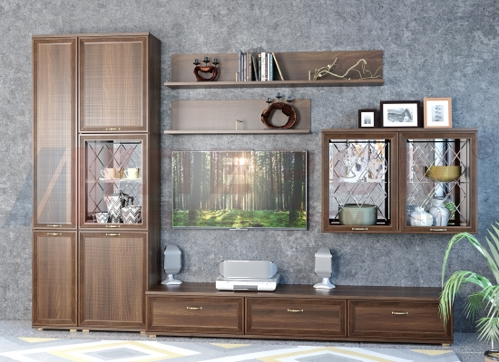 Гостиная Карина